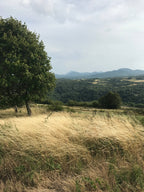 Montaclier FRENCH COUNTRY