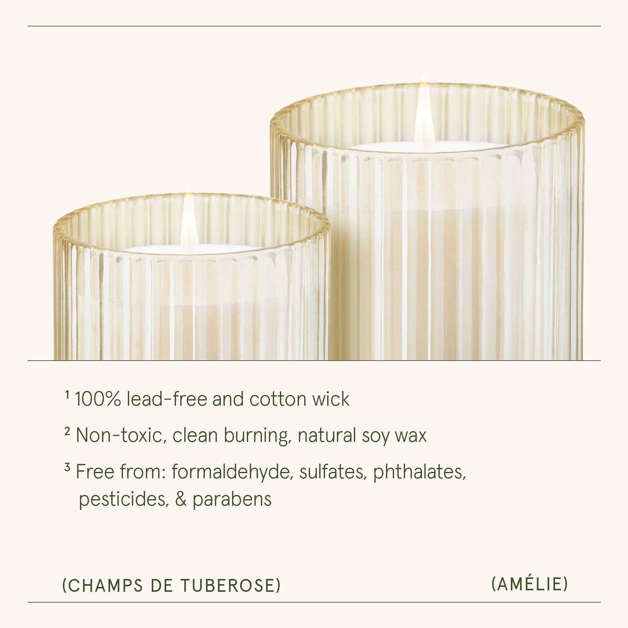 Amélie - Champs de Tuberose 11oz Candle