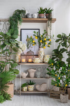 6.3x5x6" White Ceramic Pitcher Vase w/ Yellow Lemon Motif