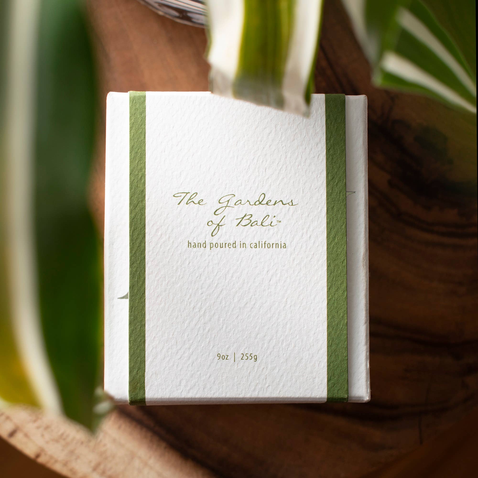 Gardens of Bali 9 oz Candle