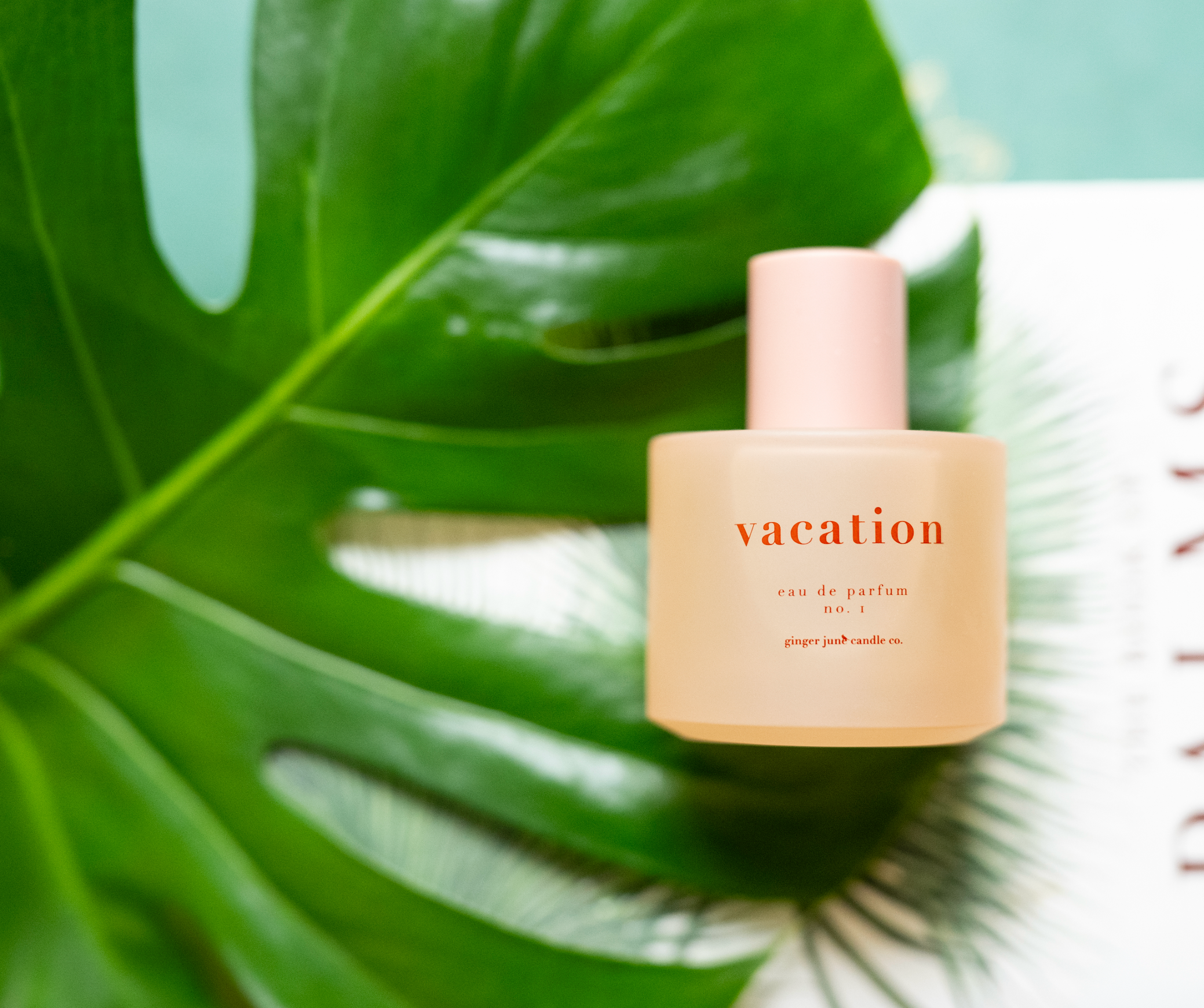 Organic alcohol eau de parfum • 17 scents • non toxic