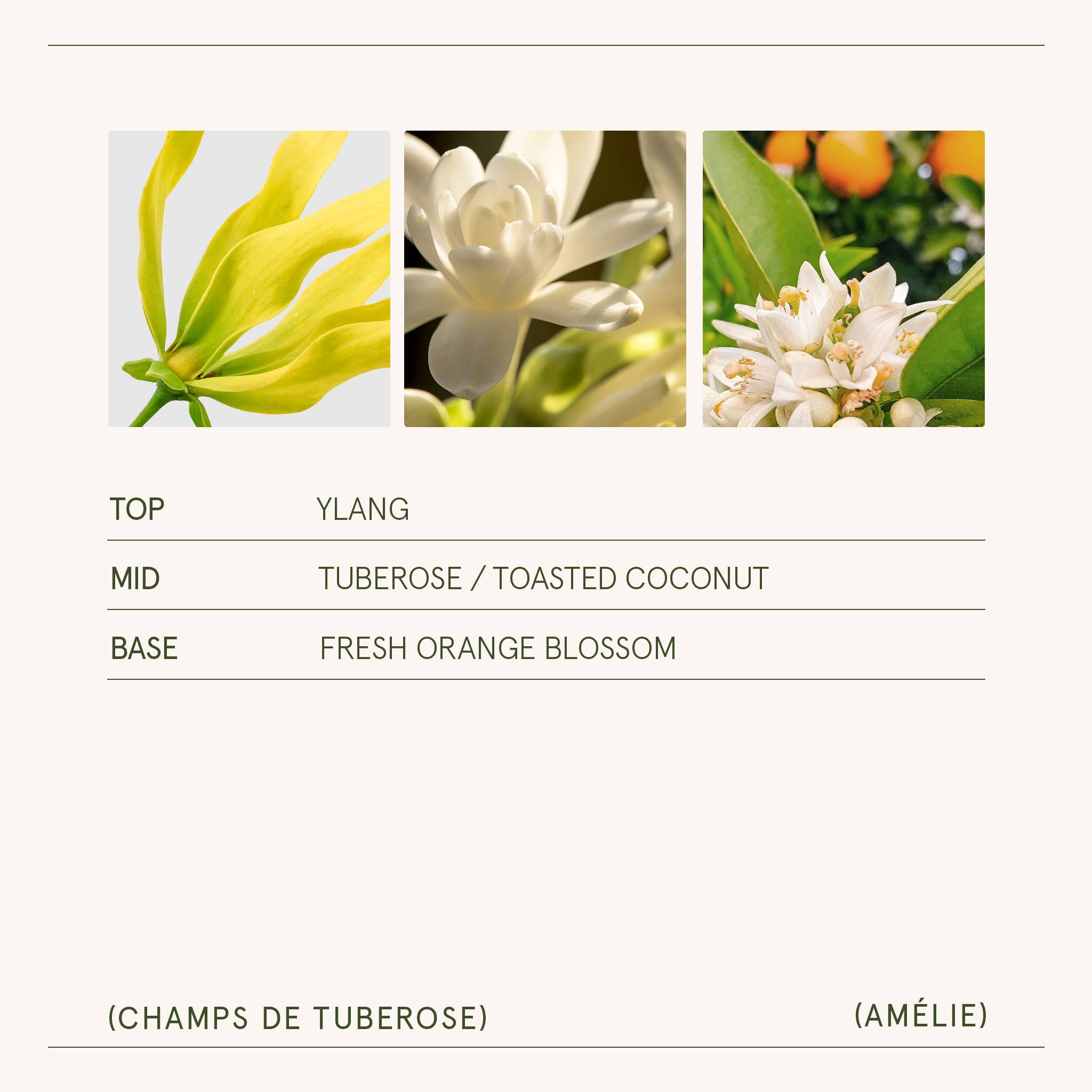 Amélie - Champs de Tuberose 11oz Candle