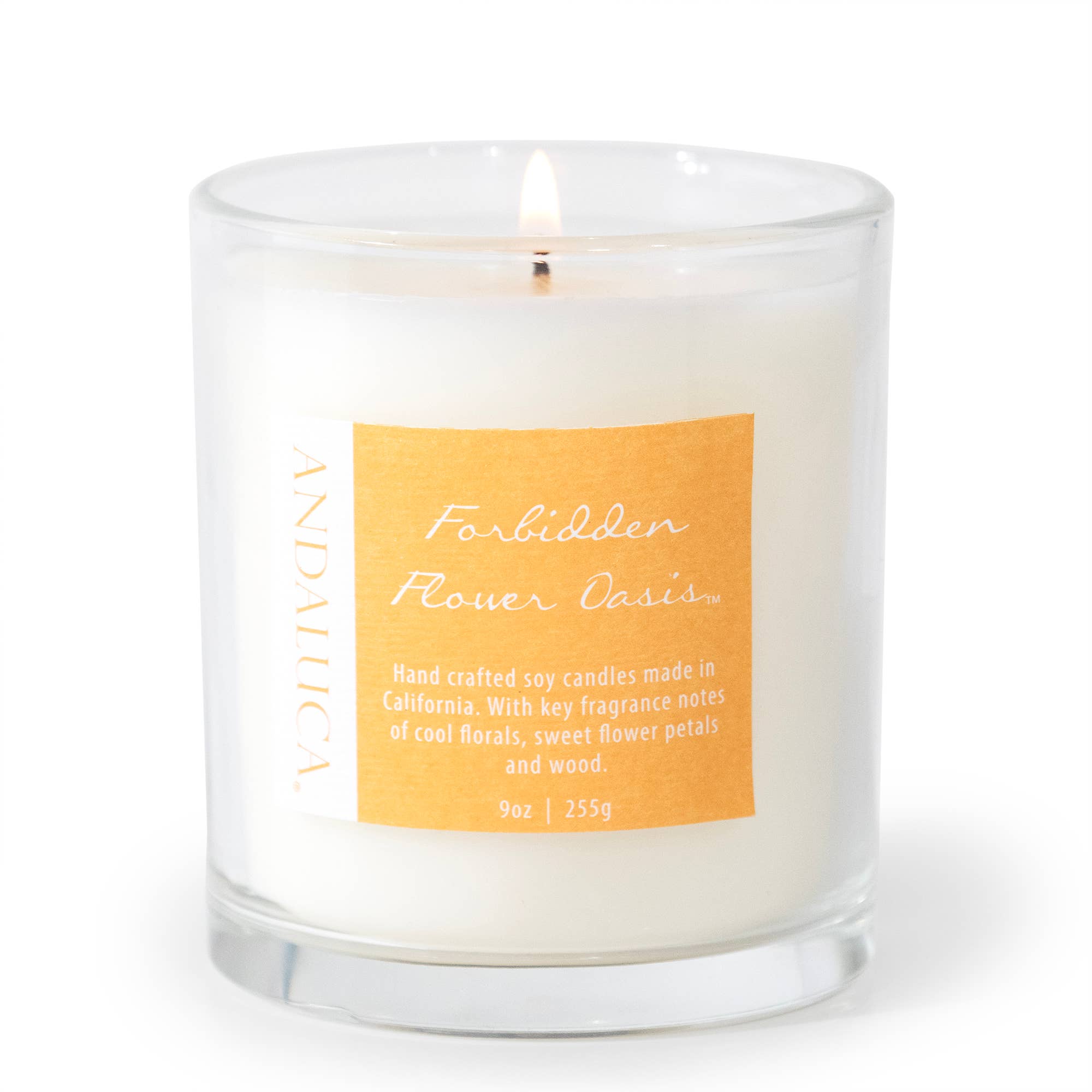 Forbidden Flower Oasis 9 oz Candle