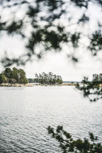 Home Made - Secrets To Timeless Interiors