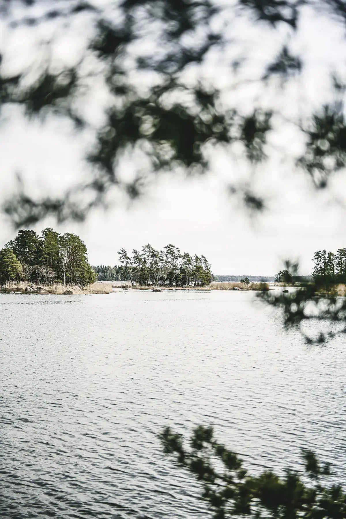 Home Made - Secrets To Timeless Interiors