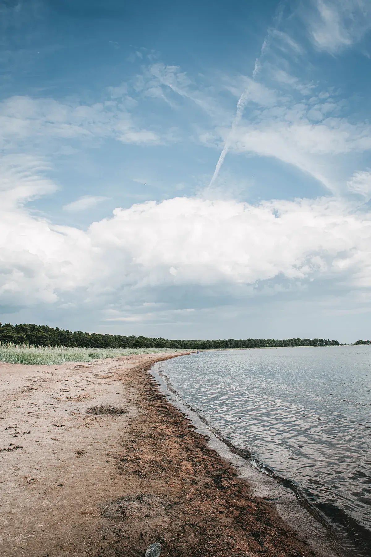 Home Made - Secrets To Timeless Interiors