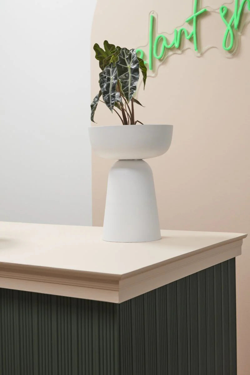 White Rize Collection Footed Bowl, 10" X 13.25".