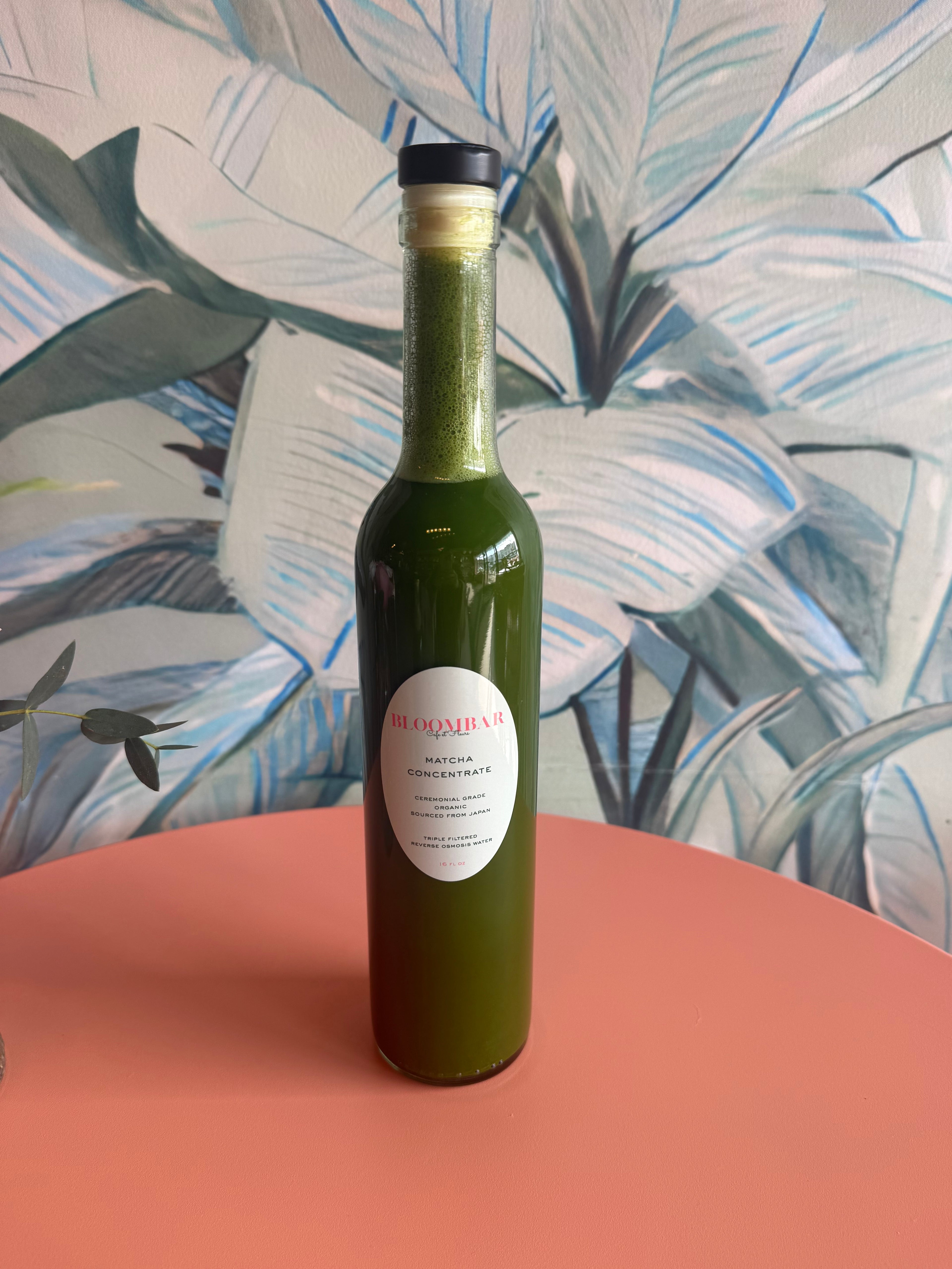 Matcha Concentrate (16 oz Individuals or 4 Pack)