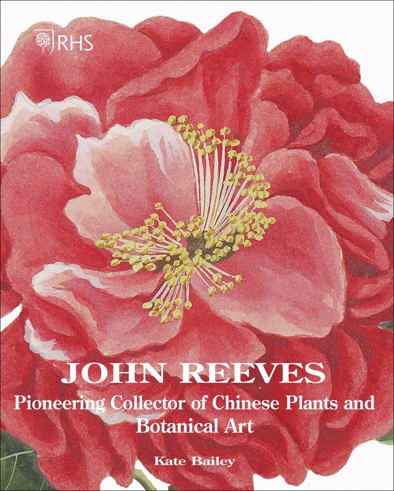 Pioneering Collector of Chinese Plants and Botanical Art