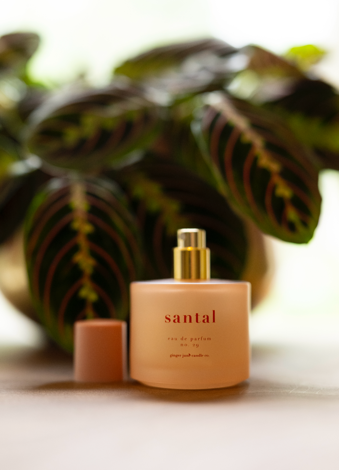 Organic alcohol eau de parfum • 17 scents • non toxic