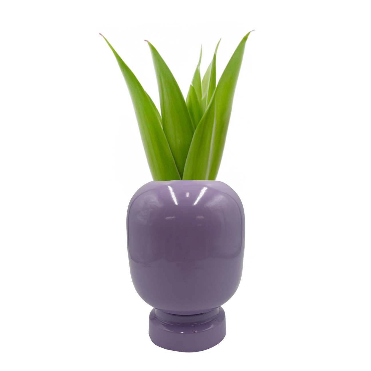 8" High Iron Round Planter Vase: Lavender