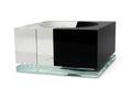 Shallow Black Clear Shallow Bowl