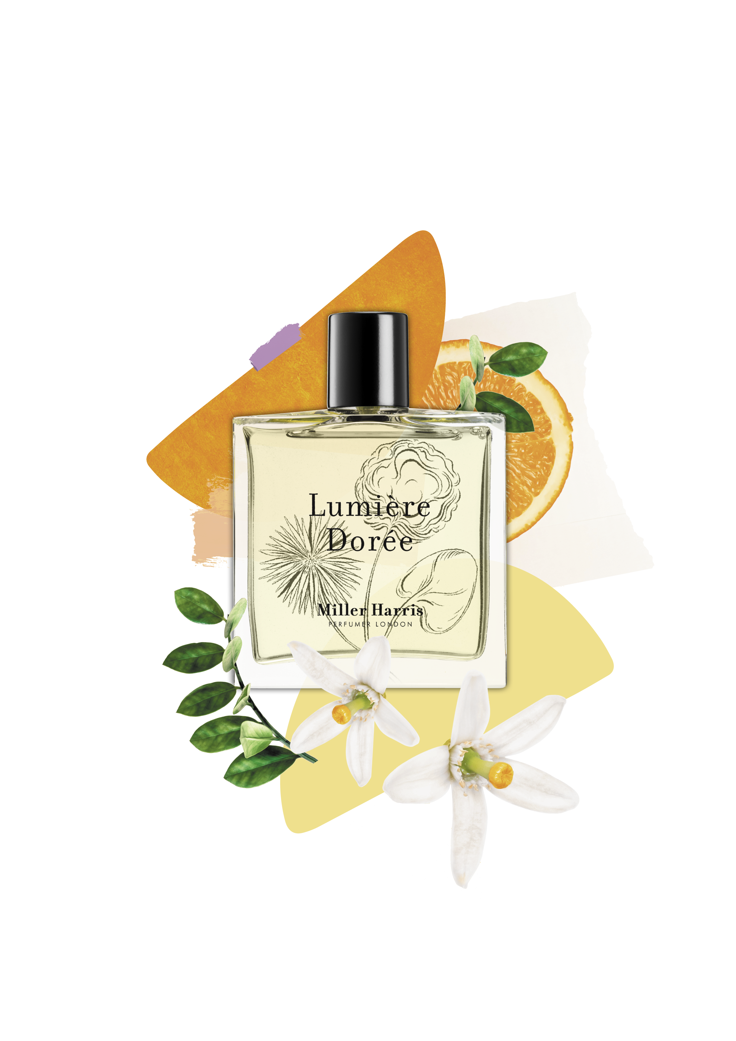 Lumière Dorée - A citrus, floral fragrance: 14ml