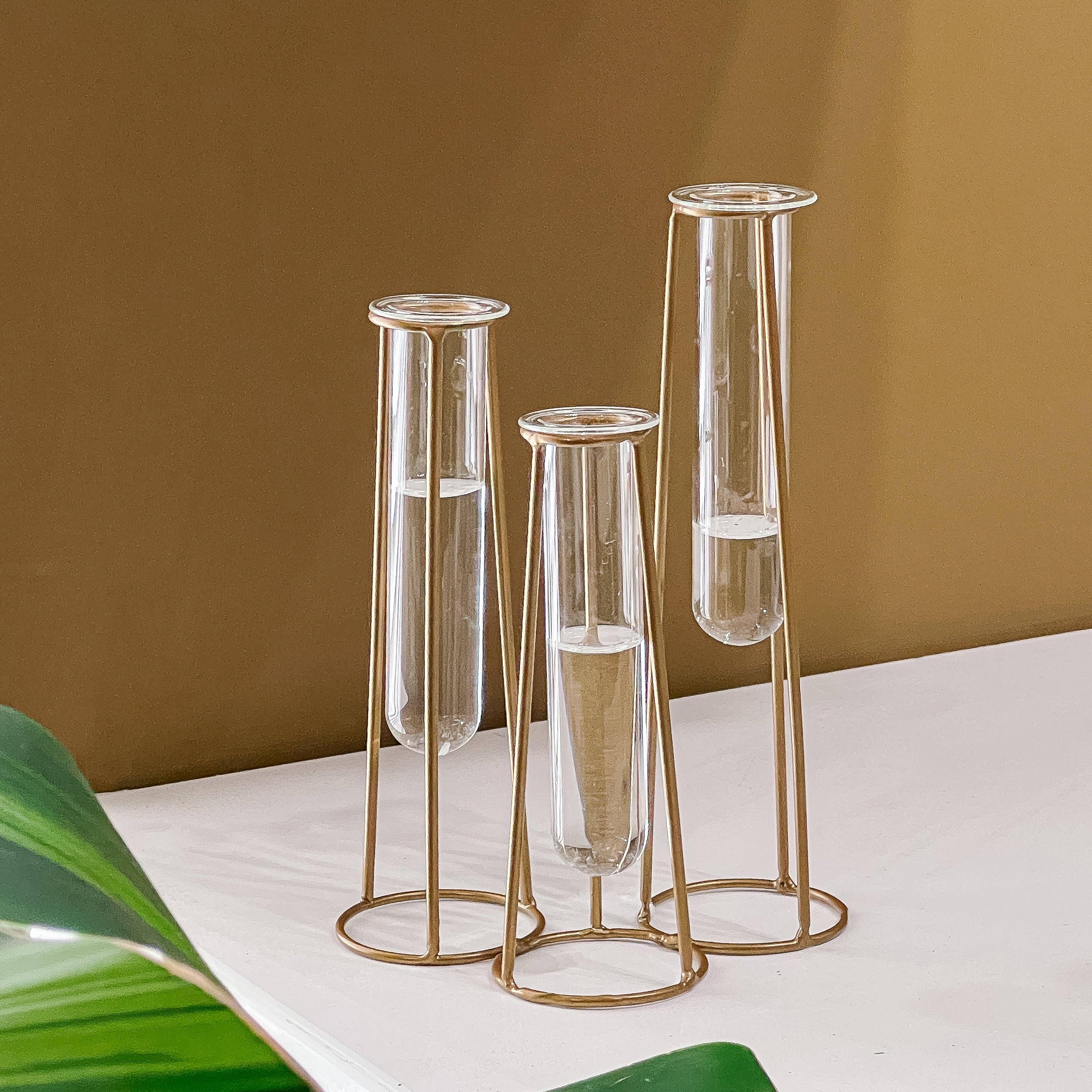 Test Tube Flower Vase