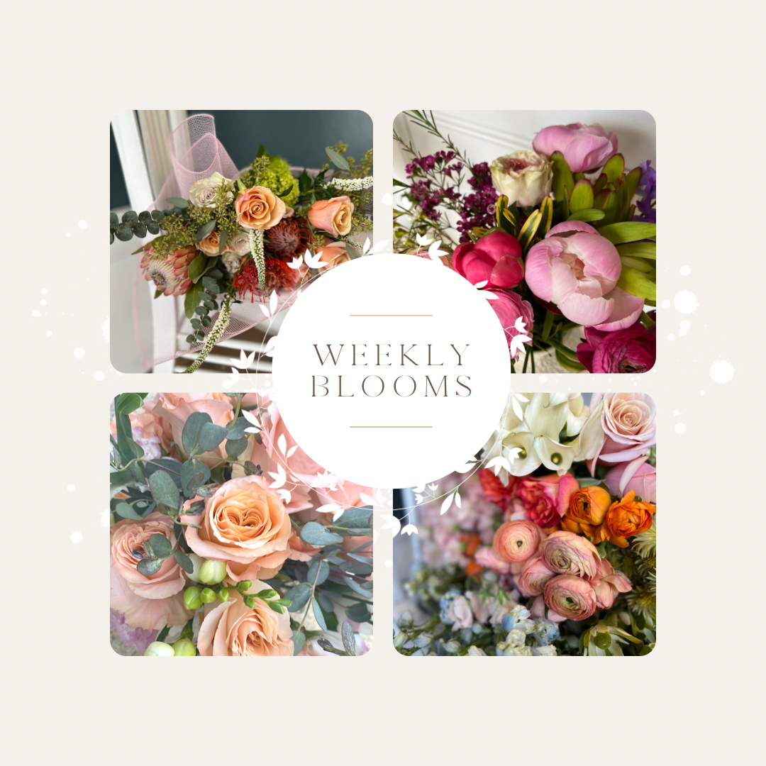 Subscription: Designer's Choice Bouquet (4 Weeks- BROOKLYN/ MIDWOOD)